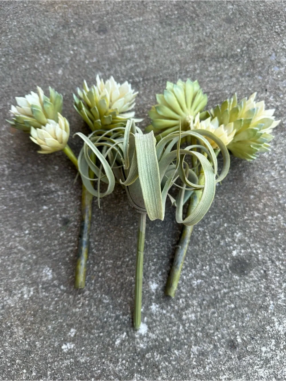 Artificial Succulent and Tillandsia Accent Stem - Green and Cream | Set of 3
